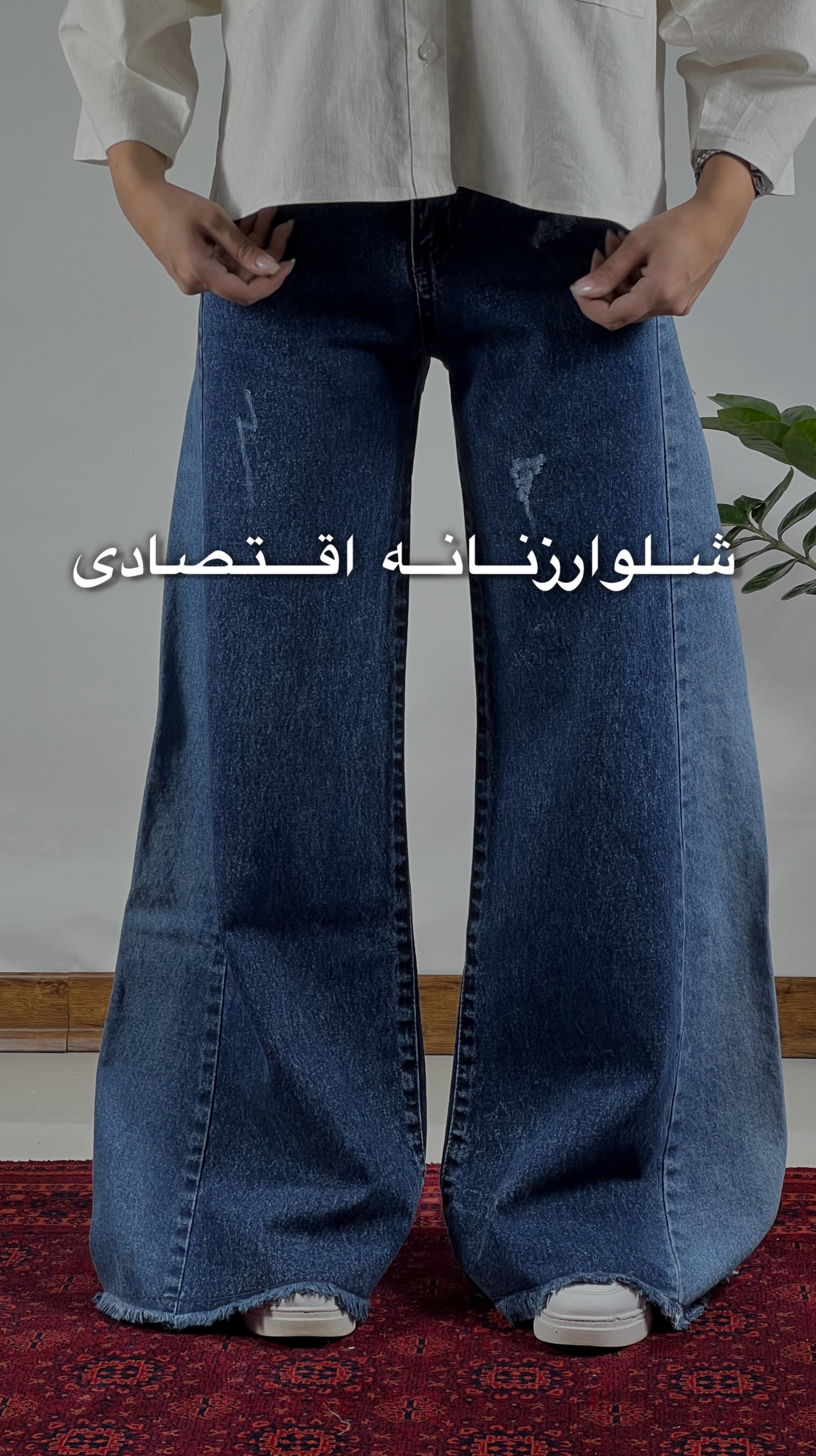 اقتصادی